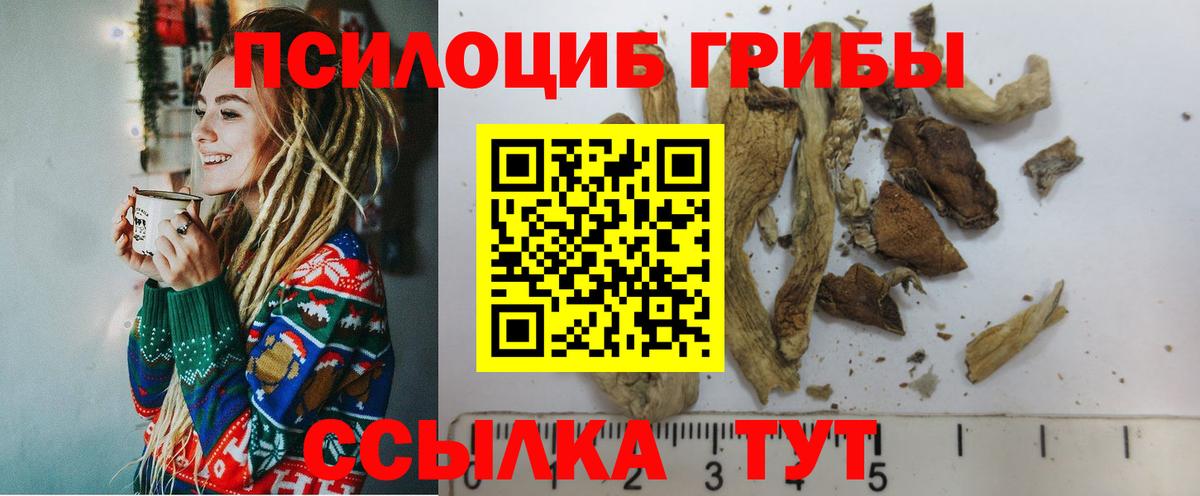 Галлюциногенные грибы MAGIC MUSHROOMS Лабинск