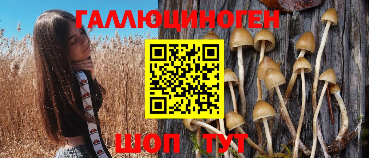 Лабинск  Псилоцибиновые грибы GOLDEN TEACHER  Псилоцибиновые грибы MAGIC MUSHROOMS  Вход с VPN 